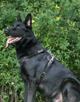 Light Weight Leather Harness