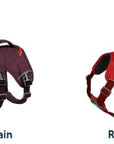 Webmaster Dog Harness 2022 Design