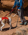 Webmaster Dog Harness 2022 Design