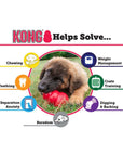 KONG Puppy