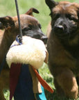 Prey Drive on a stick