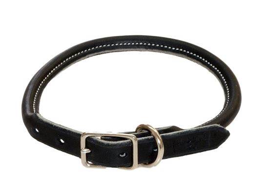 Rolled leather deals dog collar australia