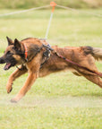Tactical K9 Leather Harness