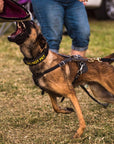 Tactical K9 Leather Harness