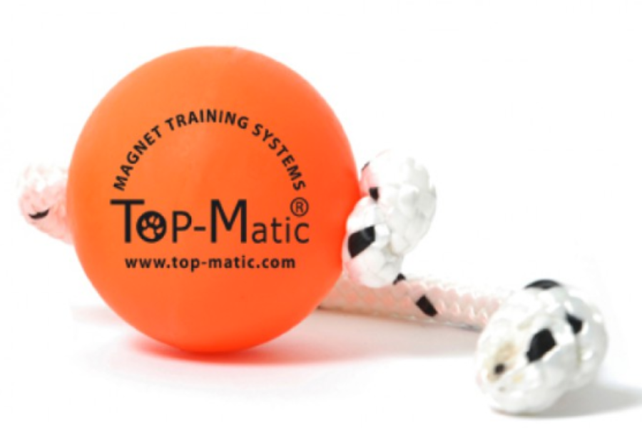 Magnetic dog hot sale ball