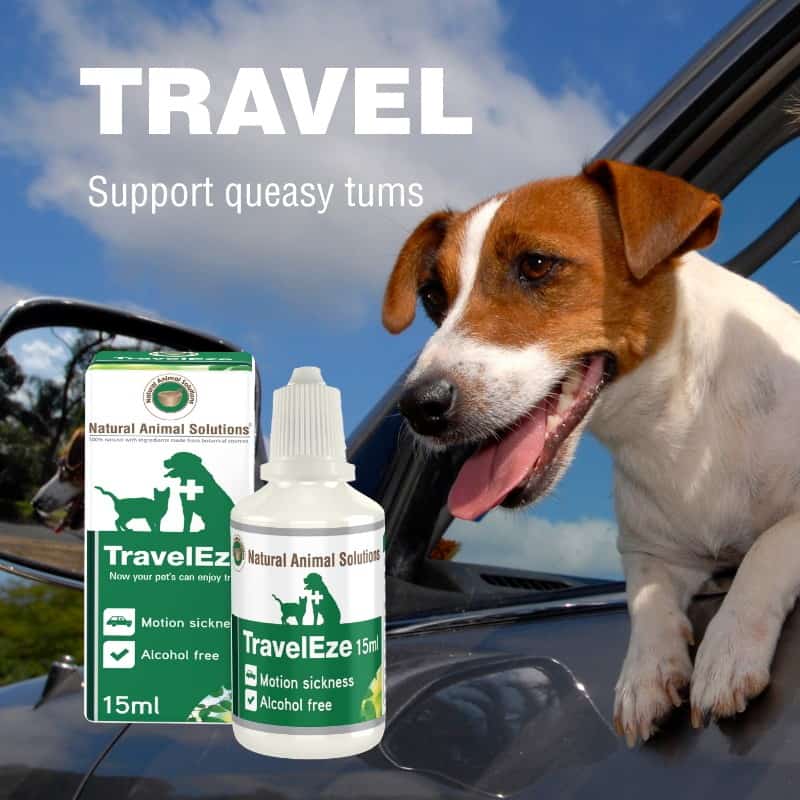 Natural on sale pet solutions