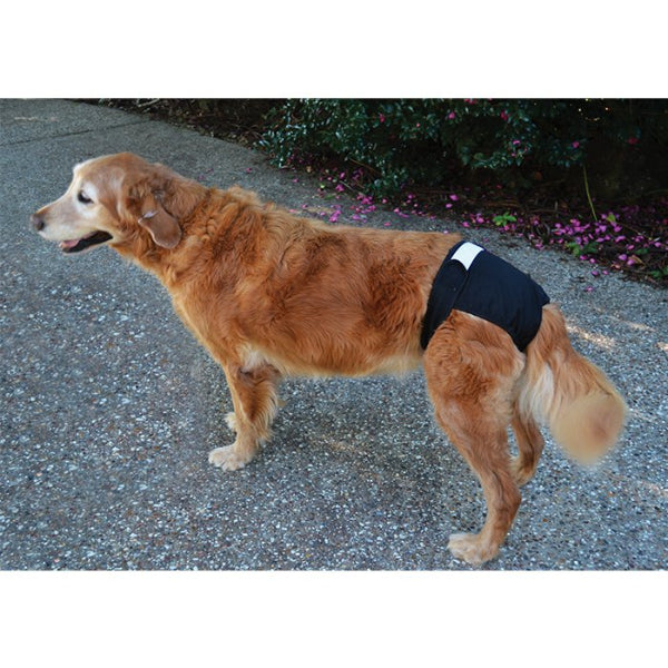 Reusuable Dog Britches Diapers K9 Pro The K9 Professionals