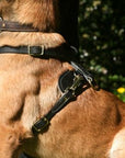 Light Weight Leather Harness