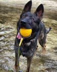 Swing ‘n Fling DuraFoam Fetch Ball