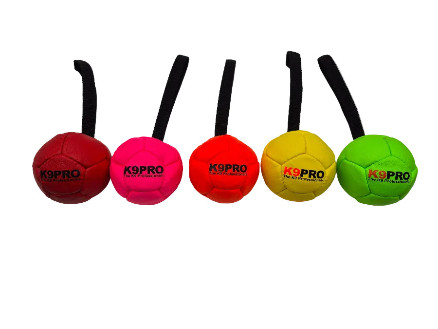 K9 Pro Air Reward Ball