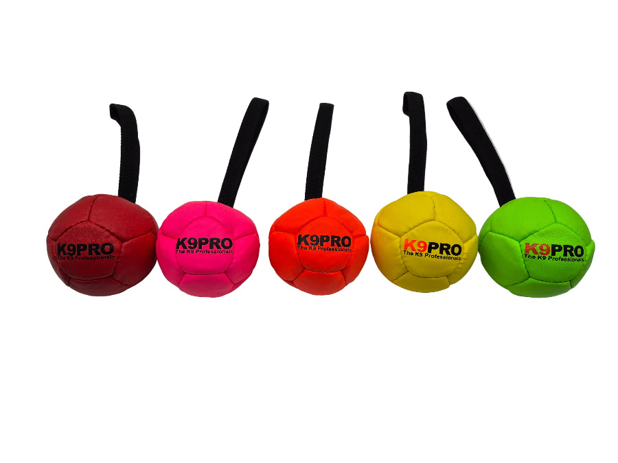 K9 Pro Air Reward Ball