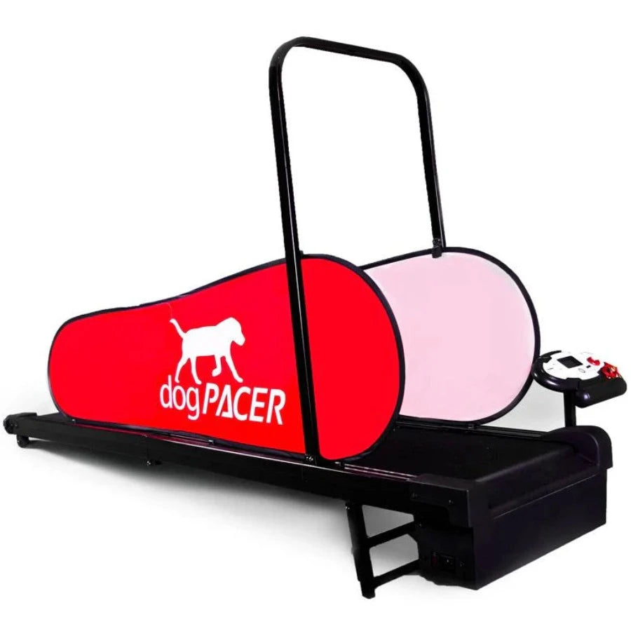 DogPacer Treadmill