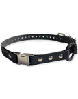 1" Quick Release Bungee Collar - For Remote Trainers