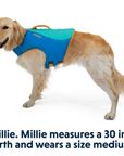 Ruffwear Float Coat Life Jacket