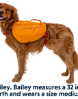 Ruffwear Approach Pack