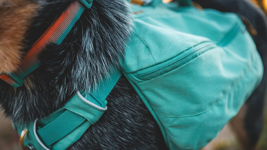 Ruffwear Front Range Dog Day Pack
