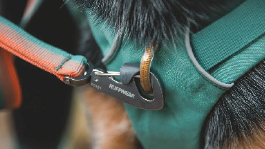Ruffwear Front Range Dog Day Pack