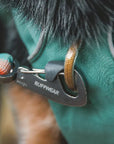 Ruffwear Front Range Dog Day Pack