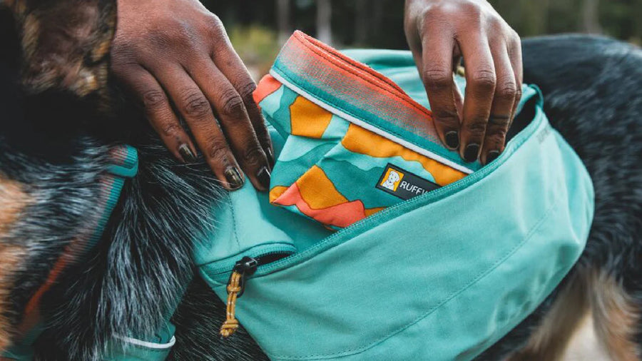 Ruffwear Front Range Dog Day Pack