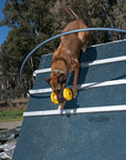 IGP A-Frame for Dog Sport