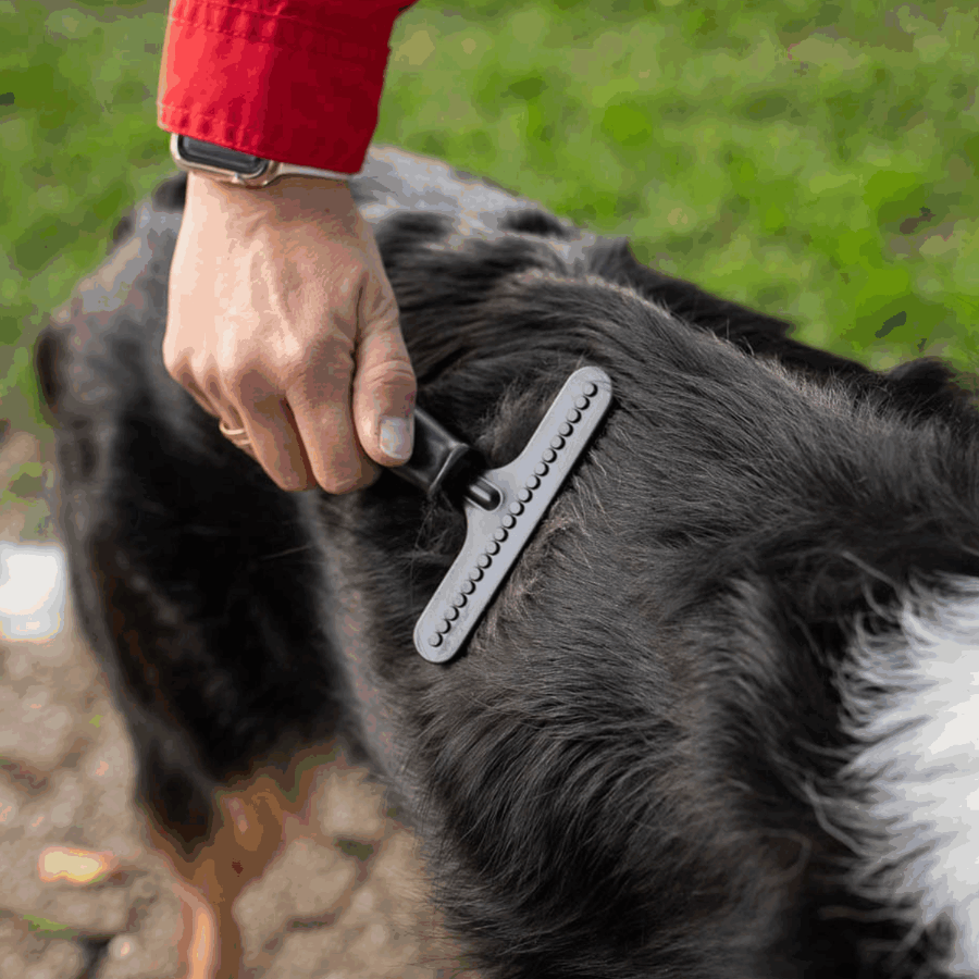 Herm Sprenger Grooming Rake, when only the best will do! – K9 Pro - The ...