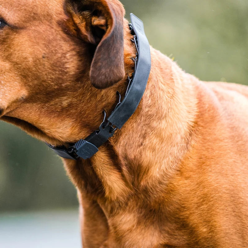Herm Sprenger FLEXCOVER Cover for Prong Collar