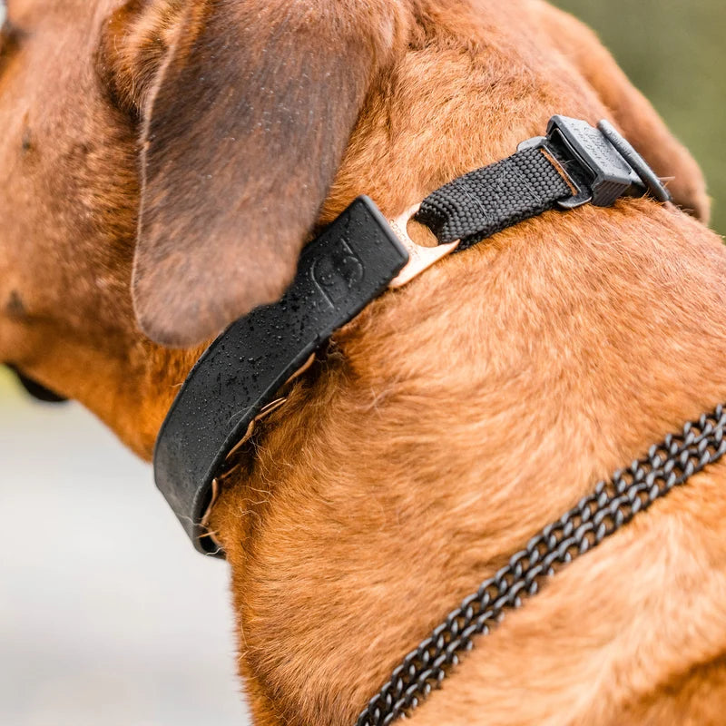 Herm Sprenger FLEXCOVER Cover for Prong Collar