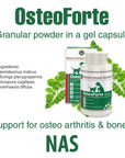 Osteoforte For Dogs - Natural Animal Solutions