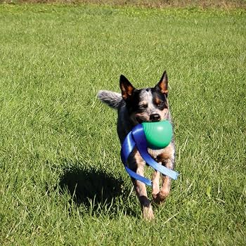 KOREflex Ball &amp; Tail