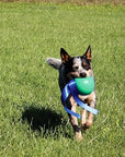 KOREflex Ball & Tail