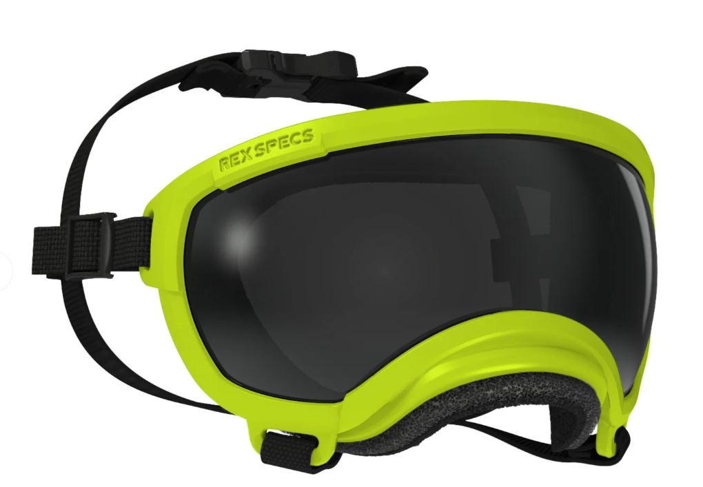 Rex Specs Eyewear -  V2 Goggles