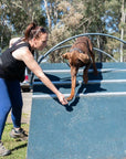 IGP A-Frame for Dog Sport