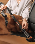 Click Dog Seat Belt Attachment - Zero Shock