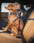 Click Dog Seat Belt Attachment - Zero Shock