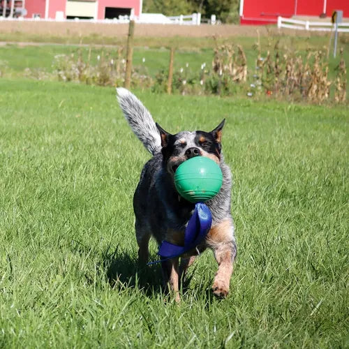 KOREflex Ball &amp; Tail