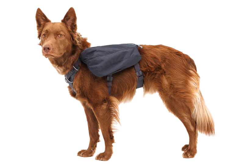 Ruffwear Front Range Dog Day Pack