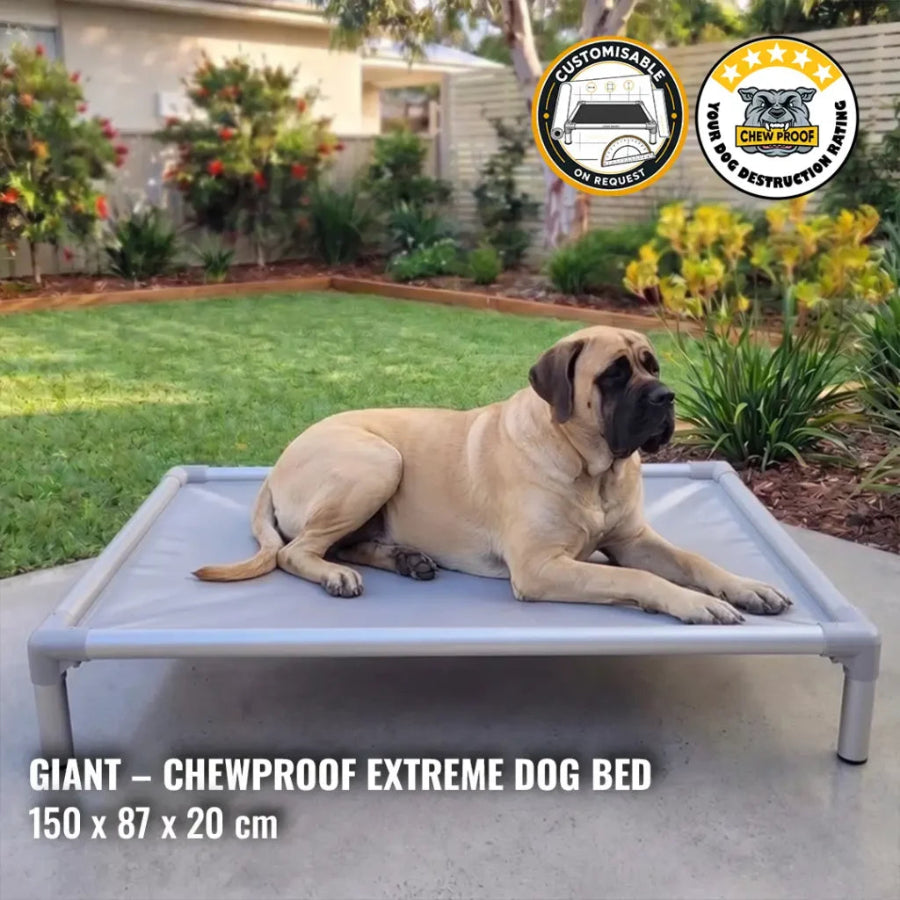ChewProof Extreme Dog Beds