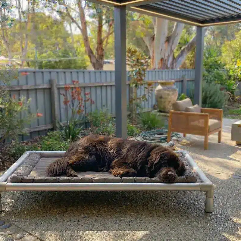 ChewProof No-Chew Pillow Top Dog Bed