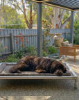 ChewProof No-Chew Pillow Top Dog Bed