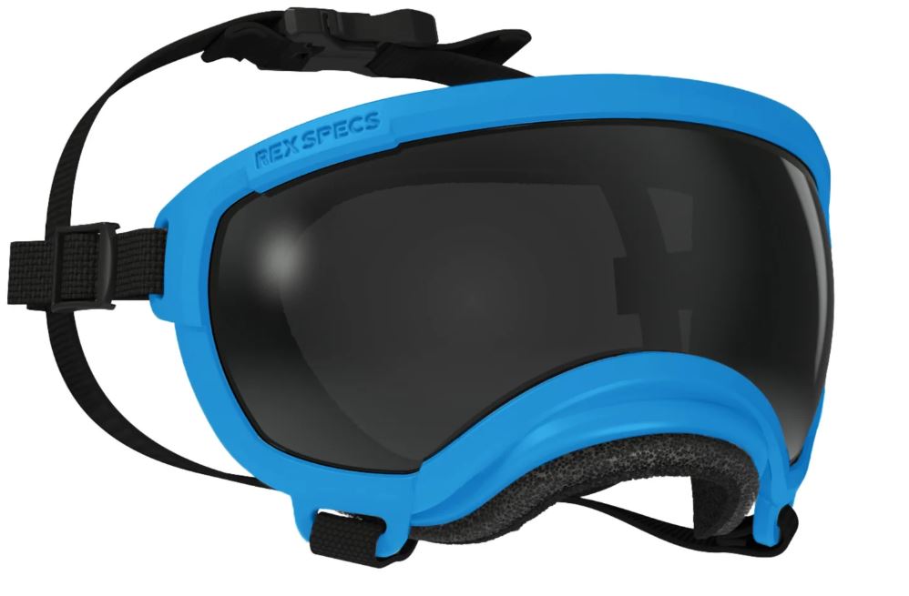 Rex Specs Eyewear -  V2 Goggles