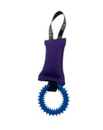 K9 Pro Ring Toss Tug