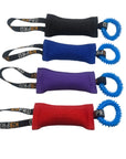 K9 Pro Ring Toss Tug