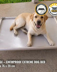 ChewProof Extreme Dog Beds