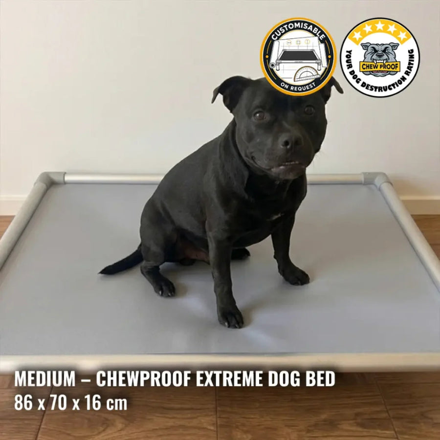 ChewProof Extreme Dog Beds