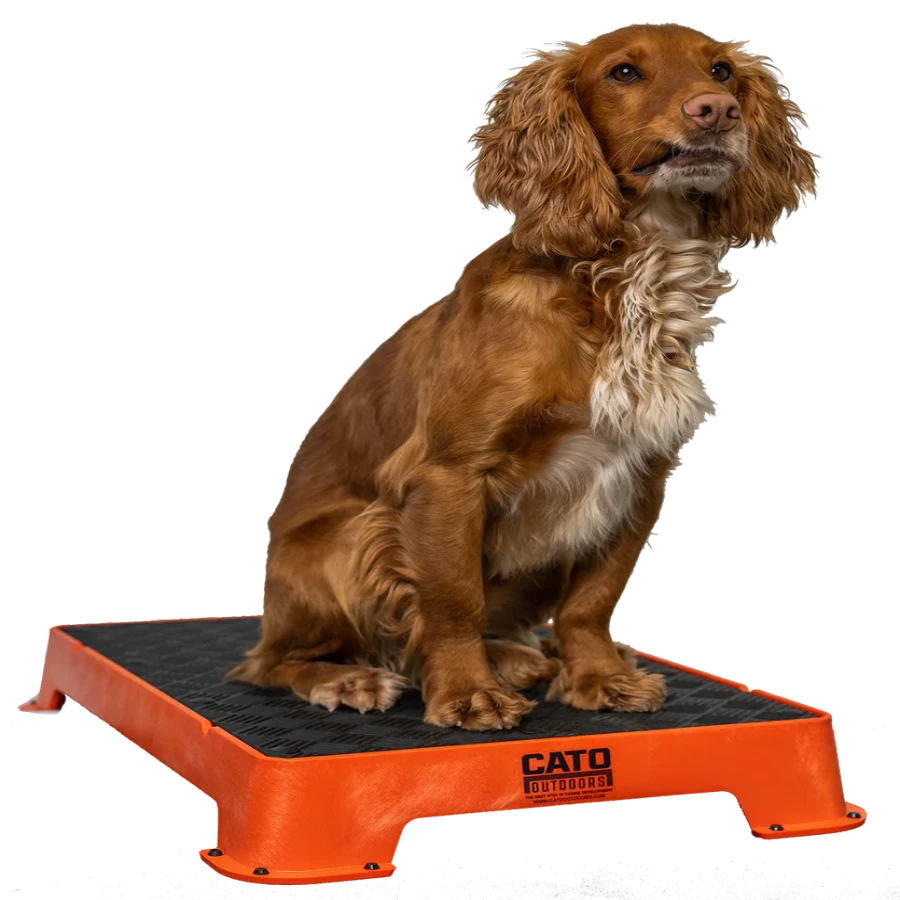 Cato Outdoor Training Boards – K9 Pro The K9 Professionals
