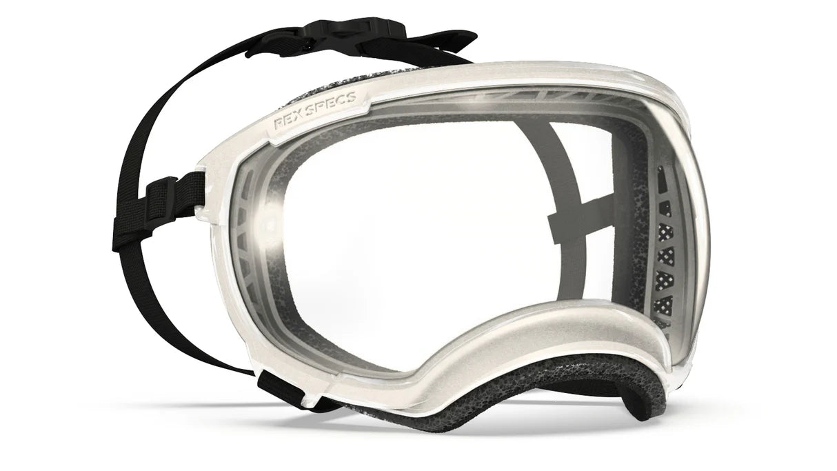 Rex Specs Eyewear -  V2 Goggles  LIMTED EDITION COLOURS