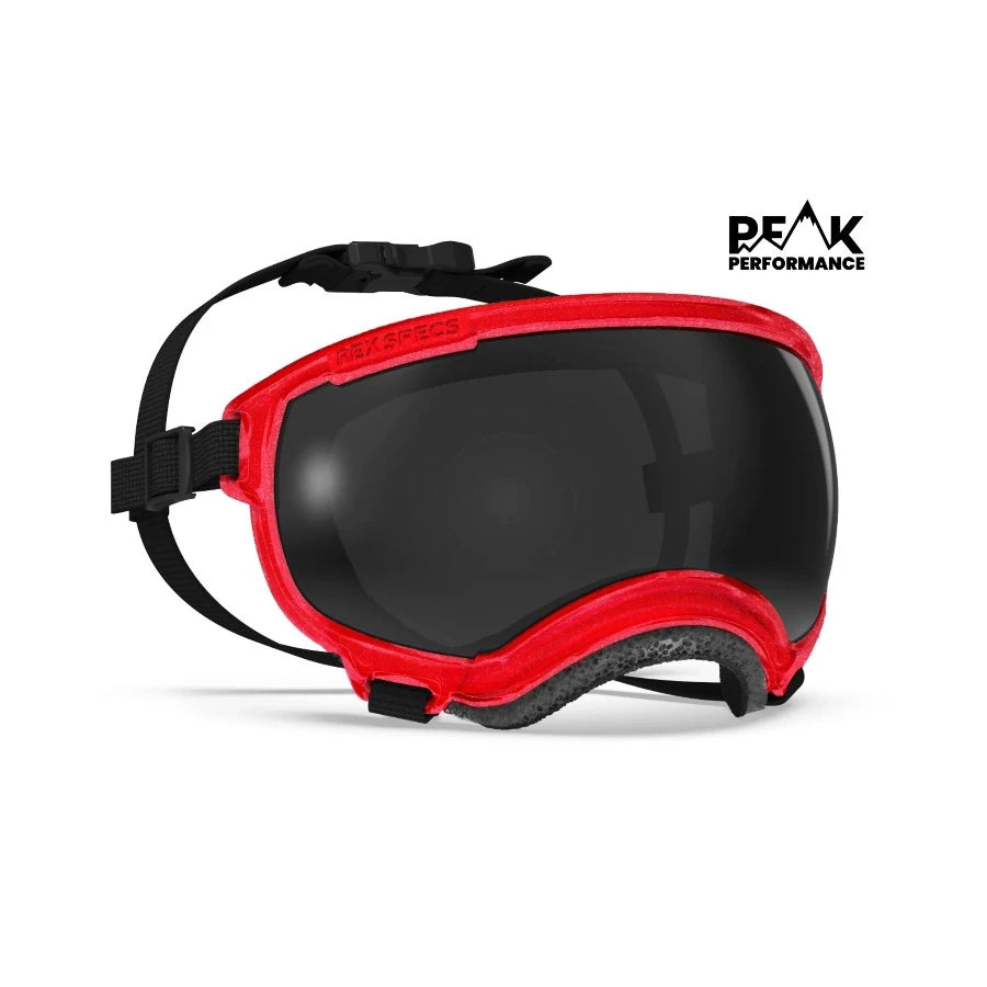 Rex Specs Eyewear -  V2 Goggles