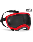 Rex Specs Eyewear -  V2 Goggles