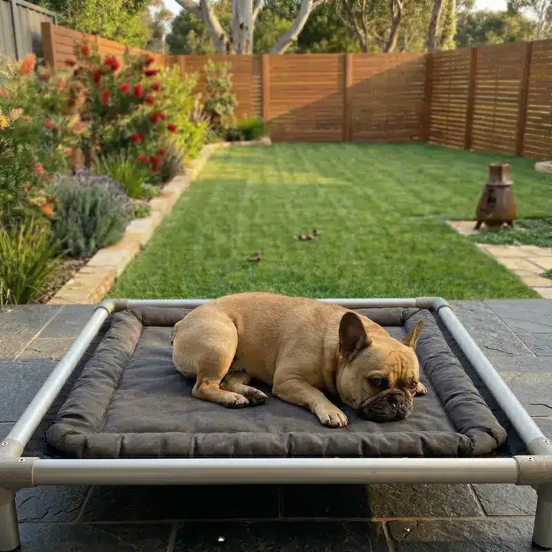 ChewProof No-Chew Pillow Top Dog Bed