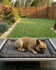 ChewProof No-Chew Pillow Top Dog Bed